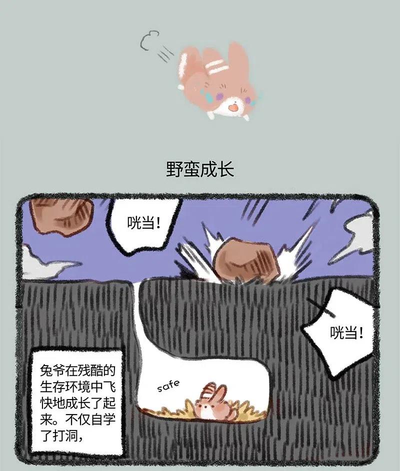 226 兔爷的成长史3