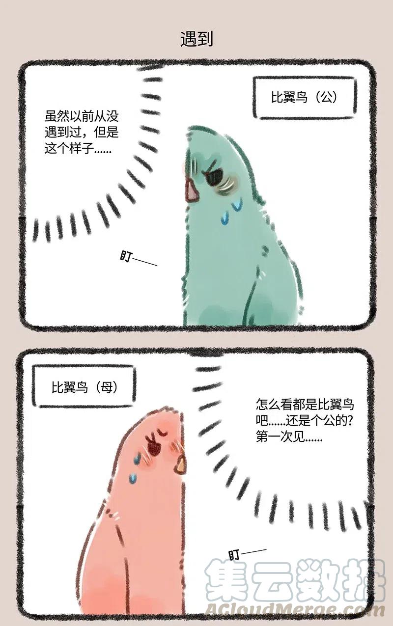 110 比翼鸟的战争4