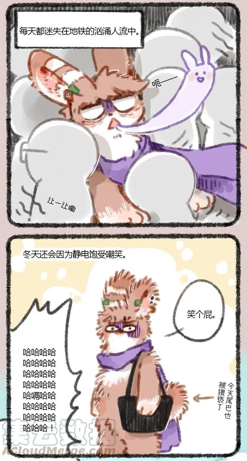 009 京城第一兔4