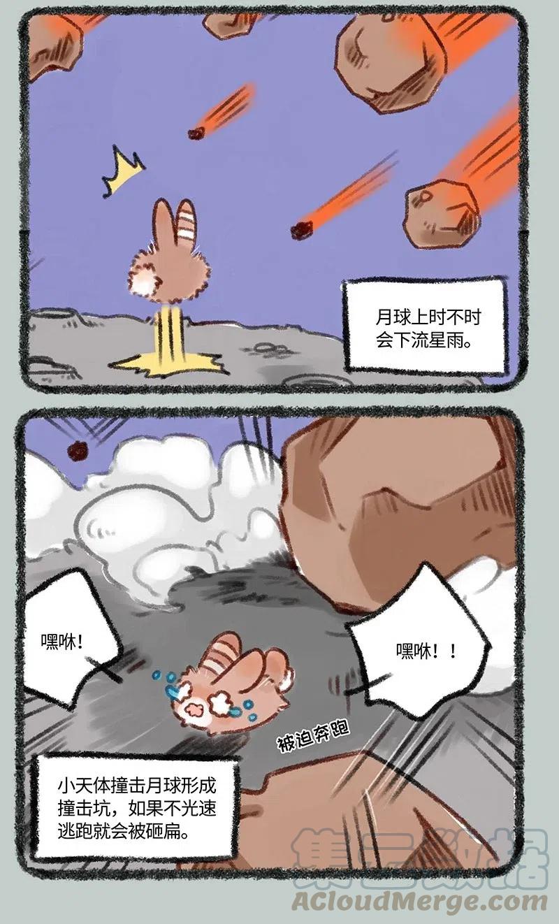 226 兔爷的成长史2