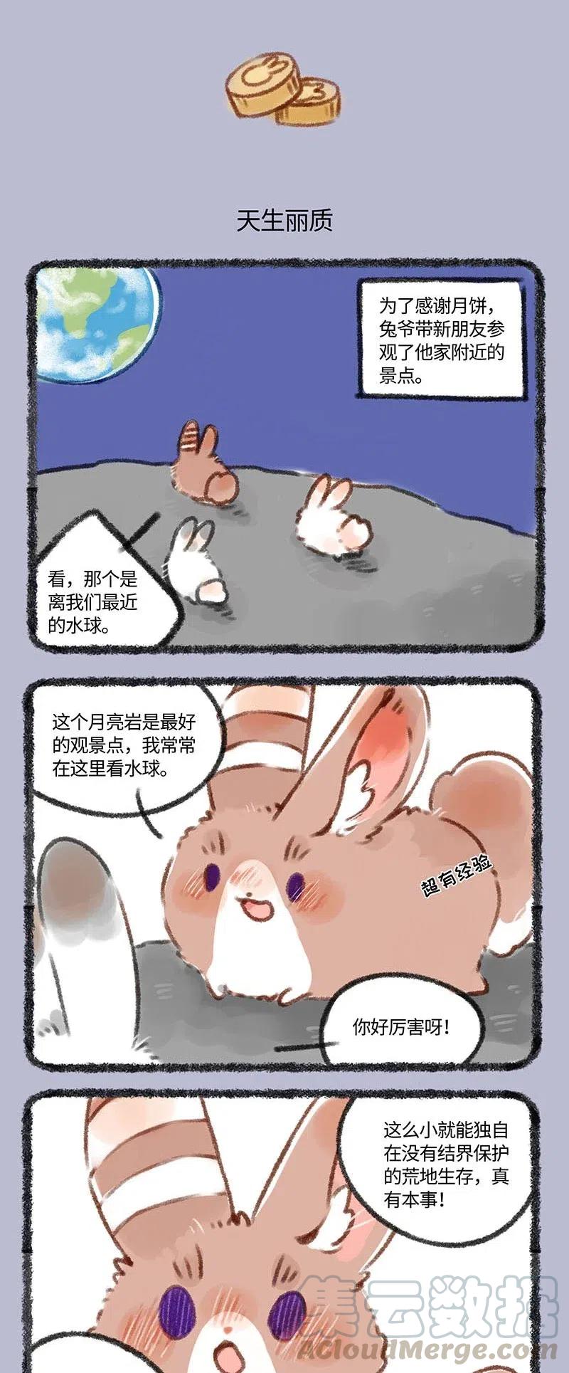 233 兔爷天生丽质2