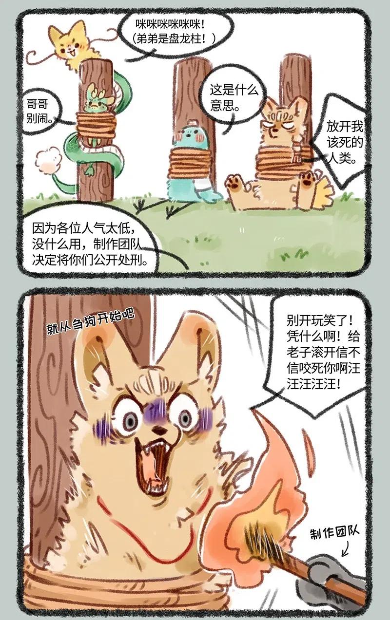 113 最后一名的待遇1