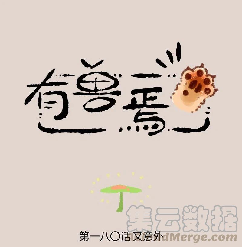 180 又见蘑菇0