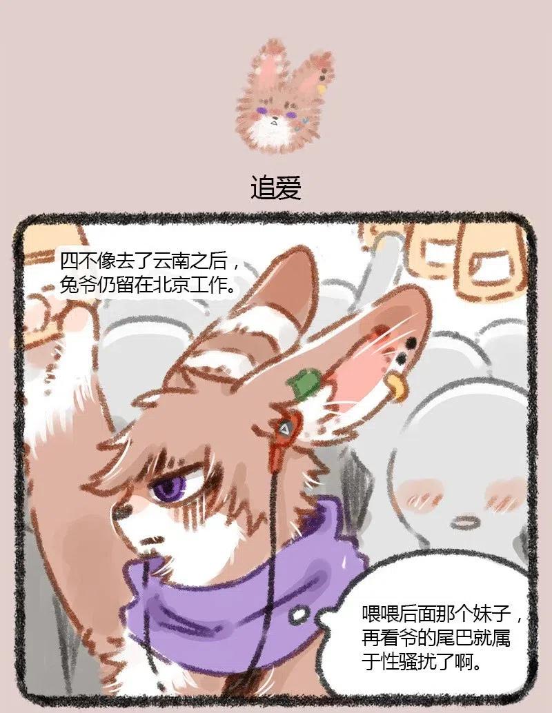 009 京城第一兔3
