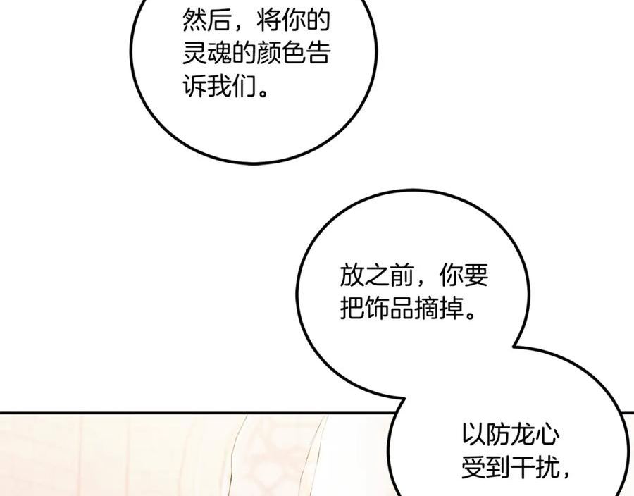 第79话 鉴定灵力2