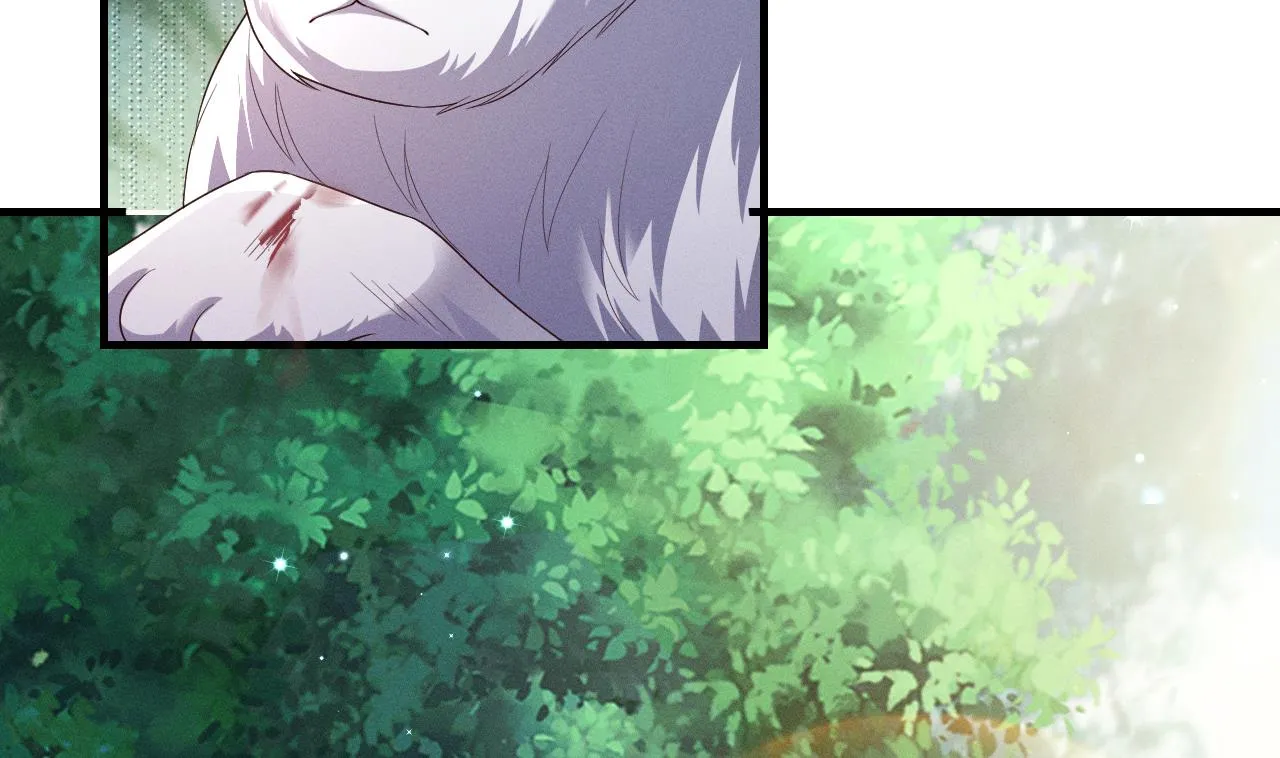 第5话 表白？4