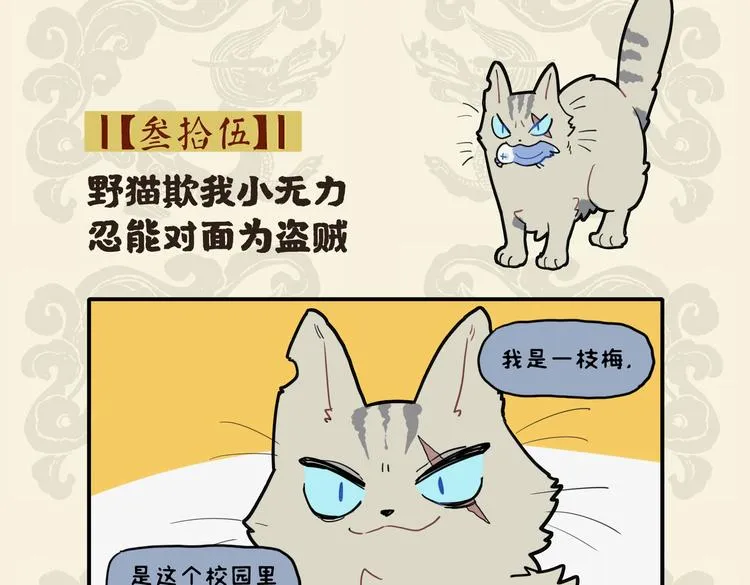 野猫欺我小无力 忍能对面为盗贼1