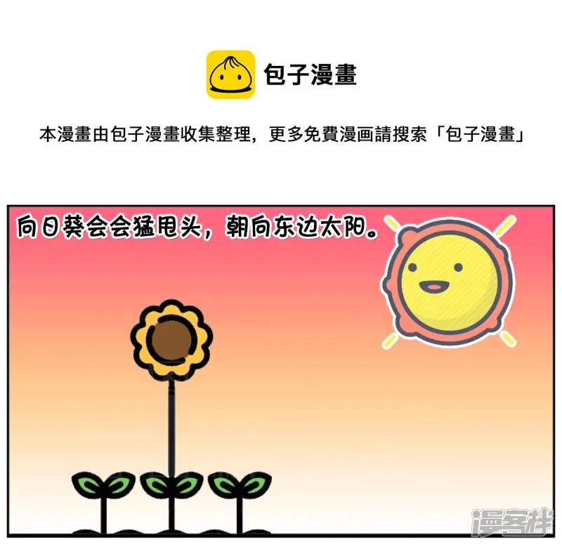 子阳不怕鬼却怕向日葵4