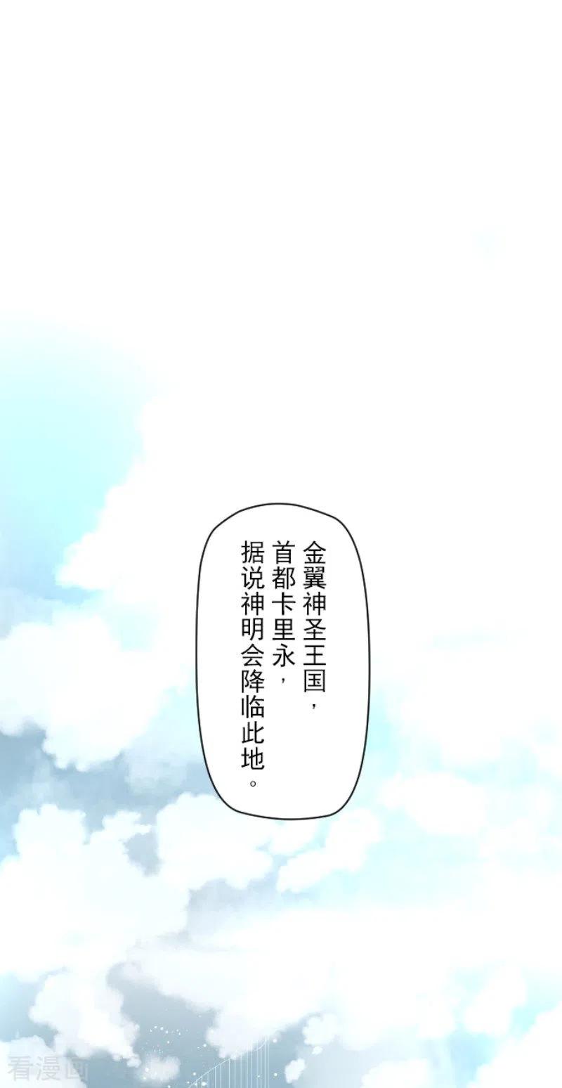 第132话 金翼神圣王国2
