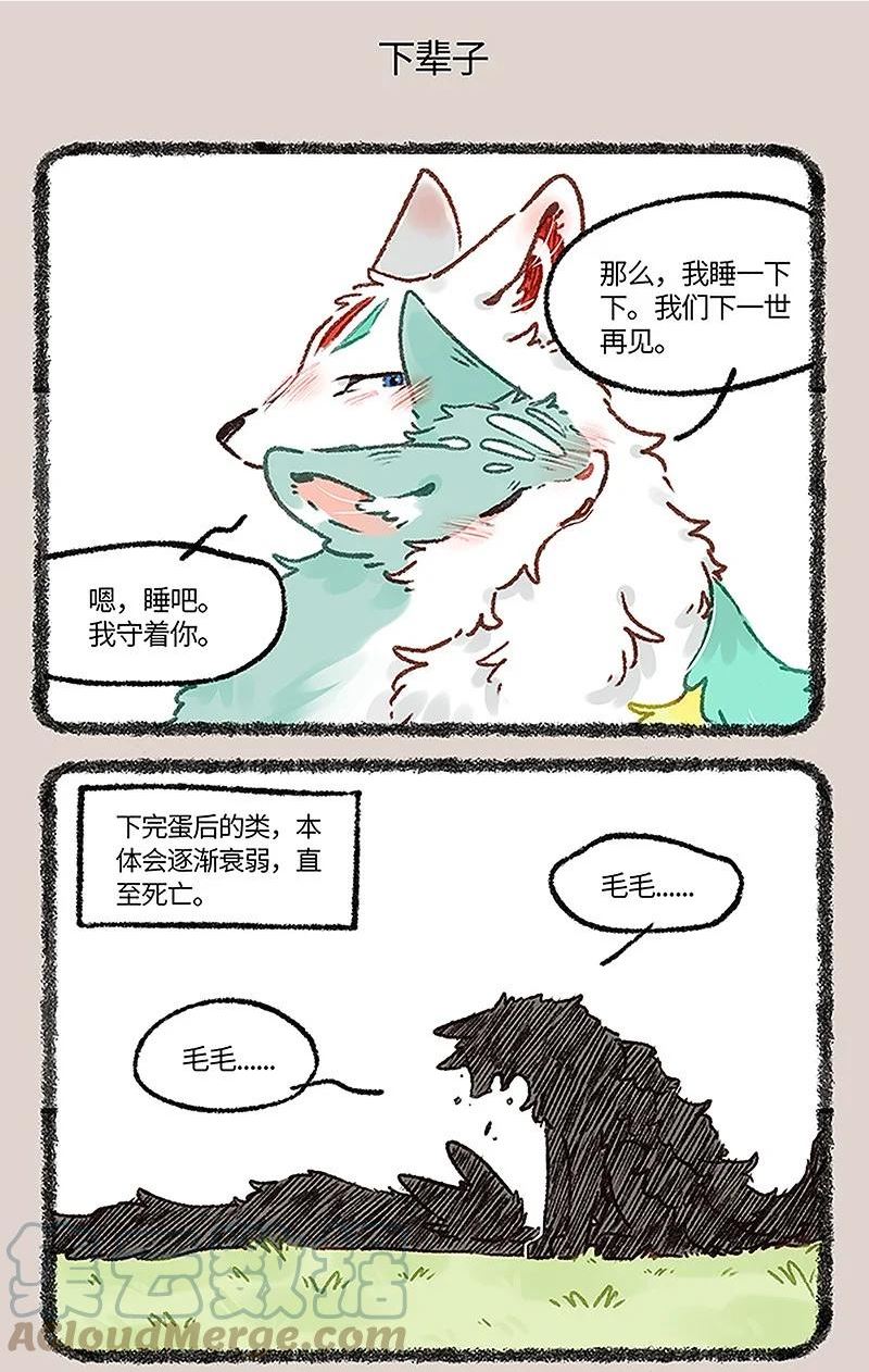 665 再见了，猫猫泪九世4