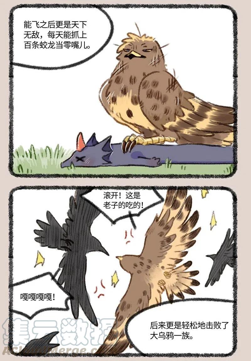 410 金翅大鹏和孔雀3