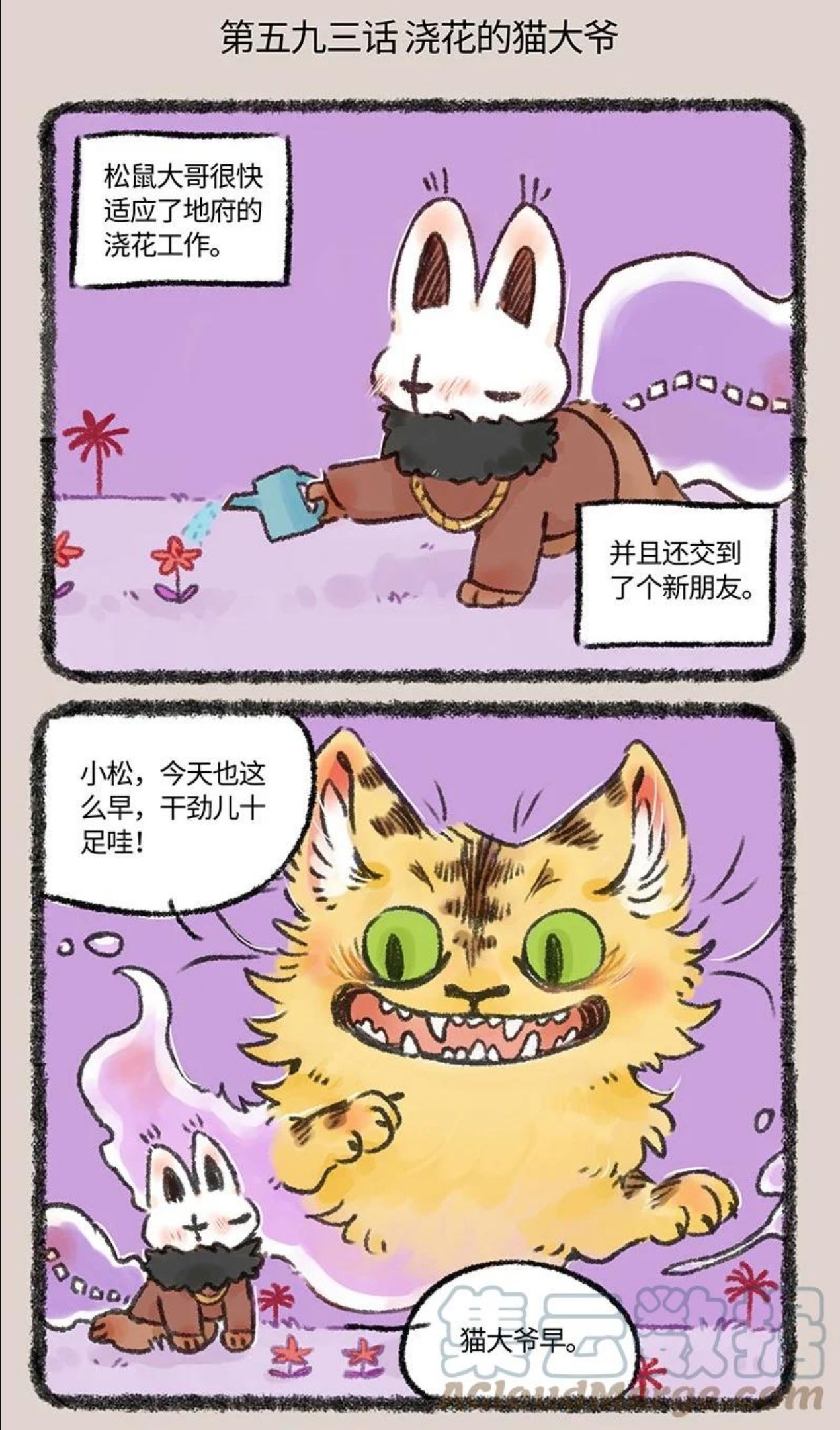 593 浇花的猫大爷0