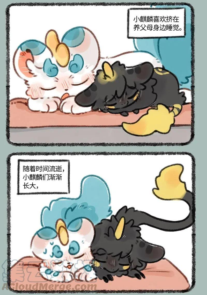 335 小麒麟们长大啦2