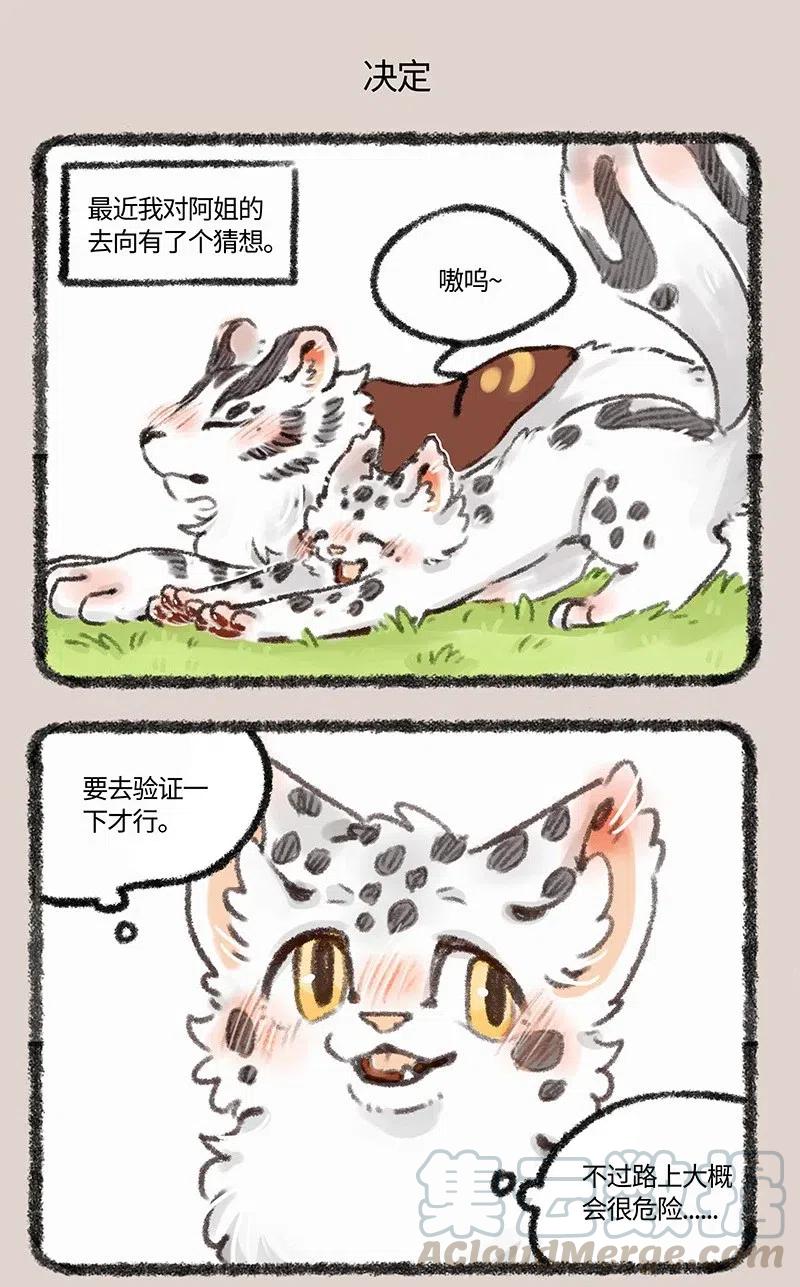 462 聚散终有时4
