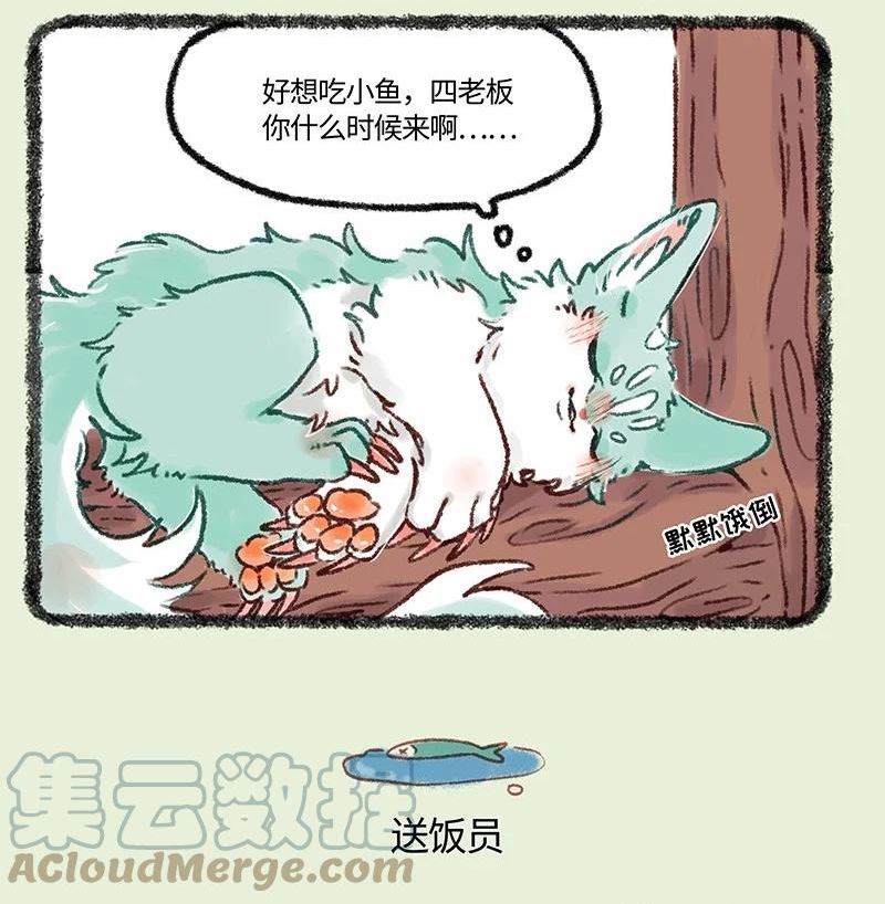 618 饥饿的猫猫类4