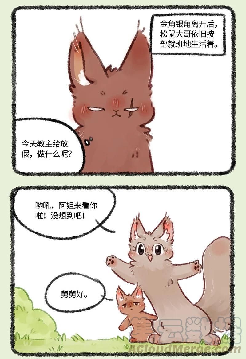 493 松鼠大哥的近况0