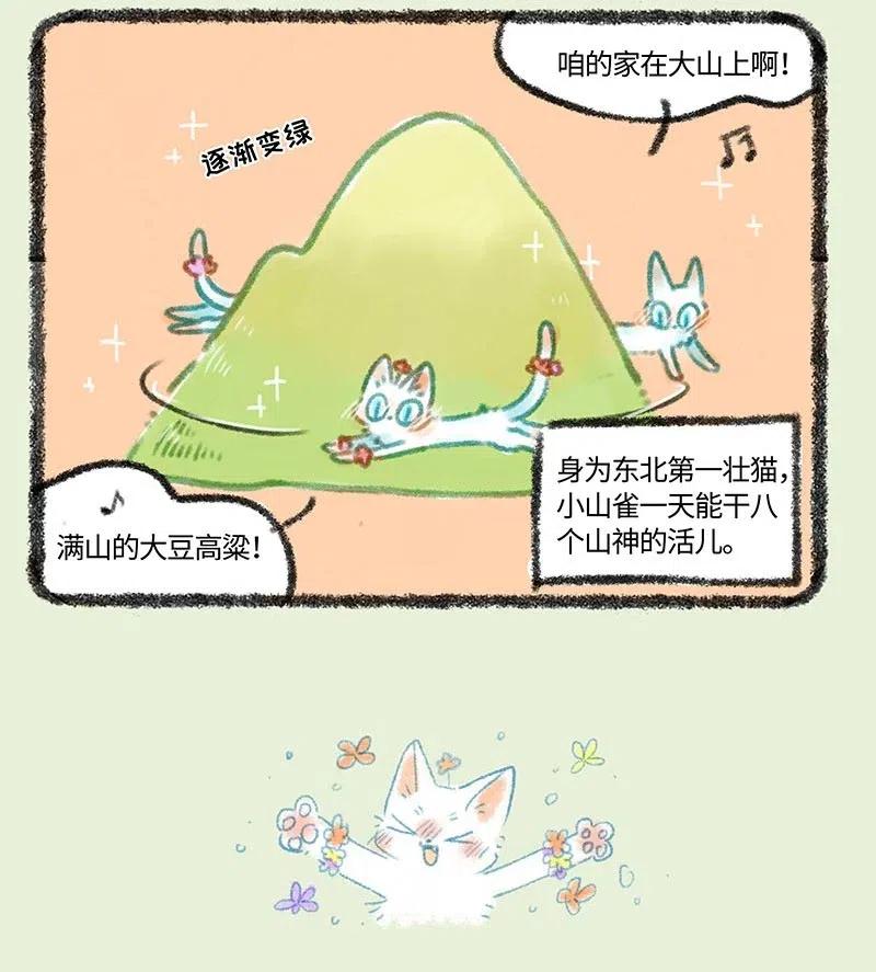 290 小山雀遇到了对手3