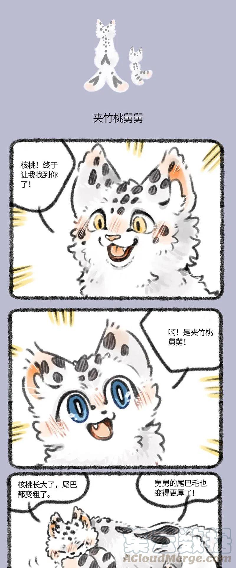 386 夹竹桃舅舅1