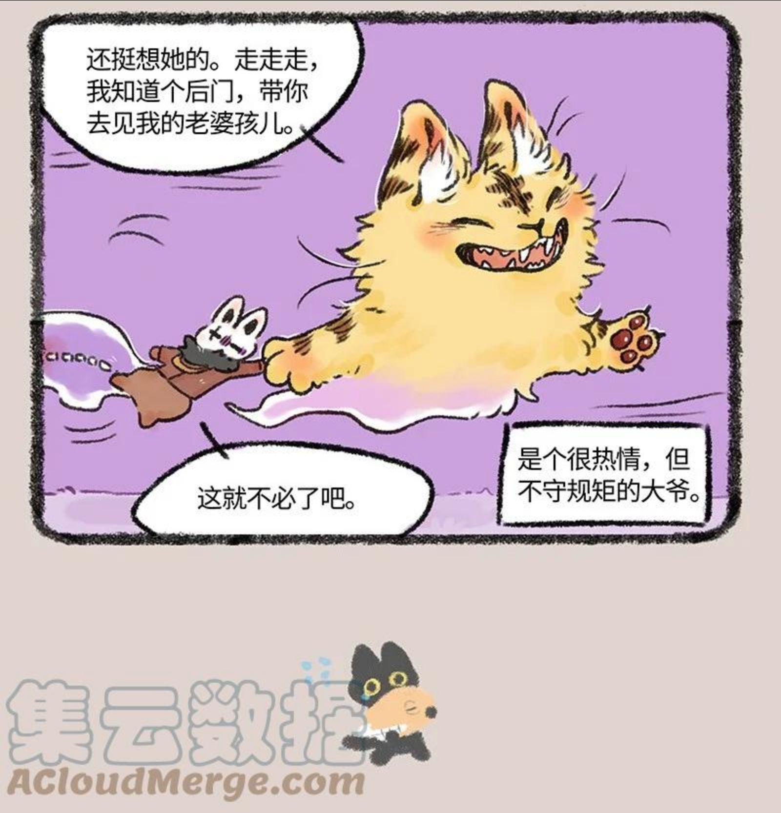 593 浇花的猫大爷2