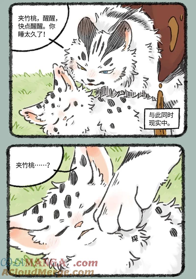 971 孟极篇之再见阿姐2