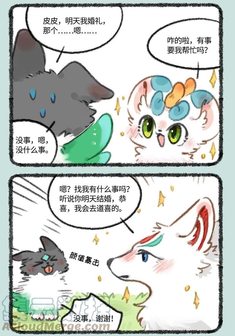 704 婚礼前的准备2