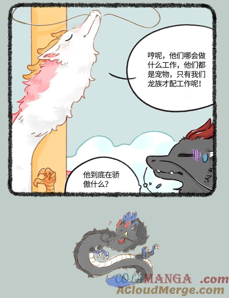 989 光明的未来4