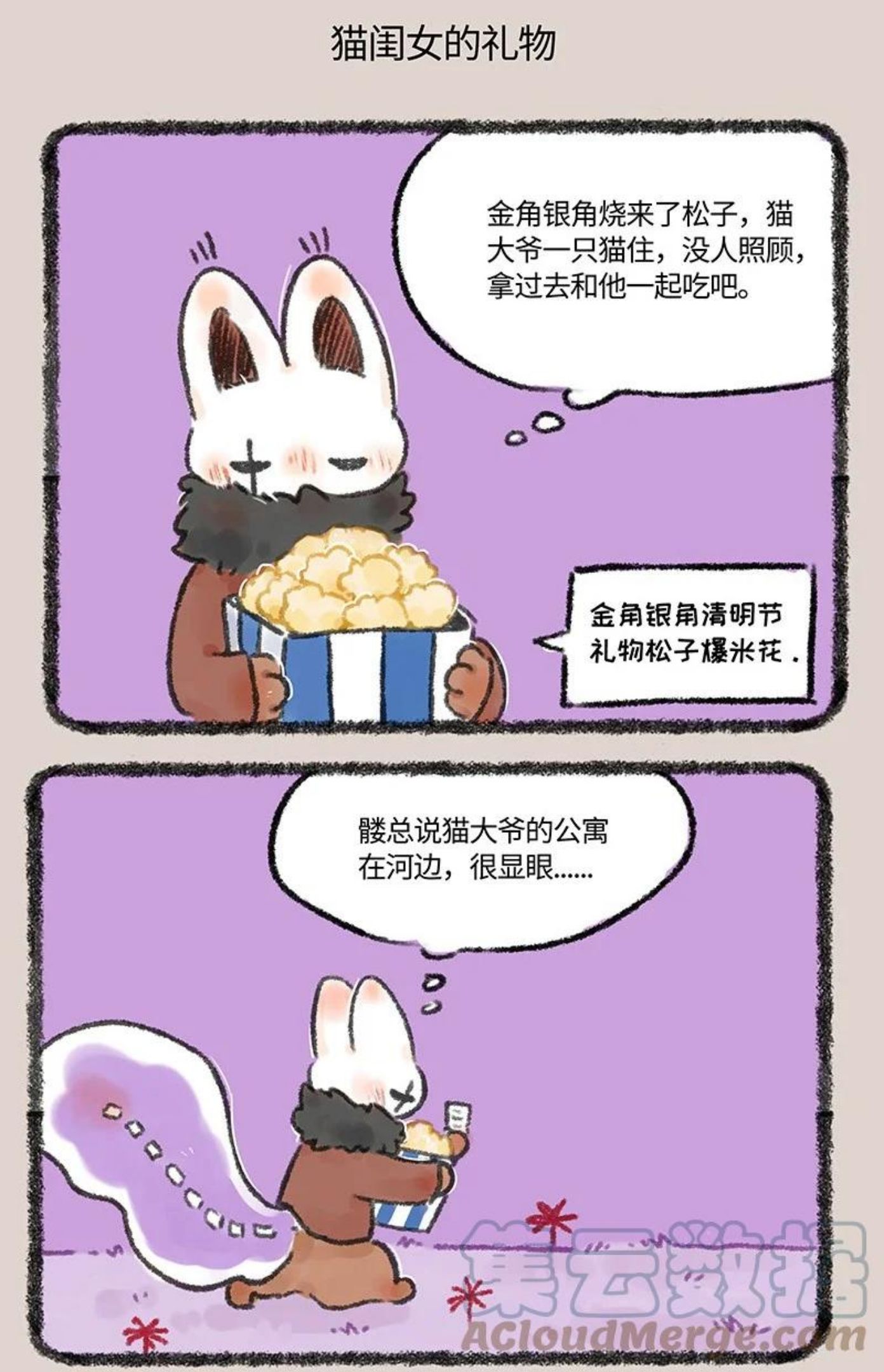 593 浇花的猫大爷3