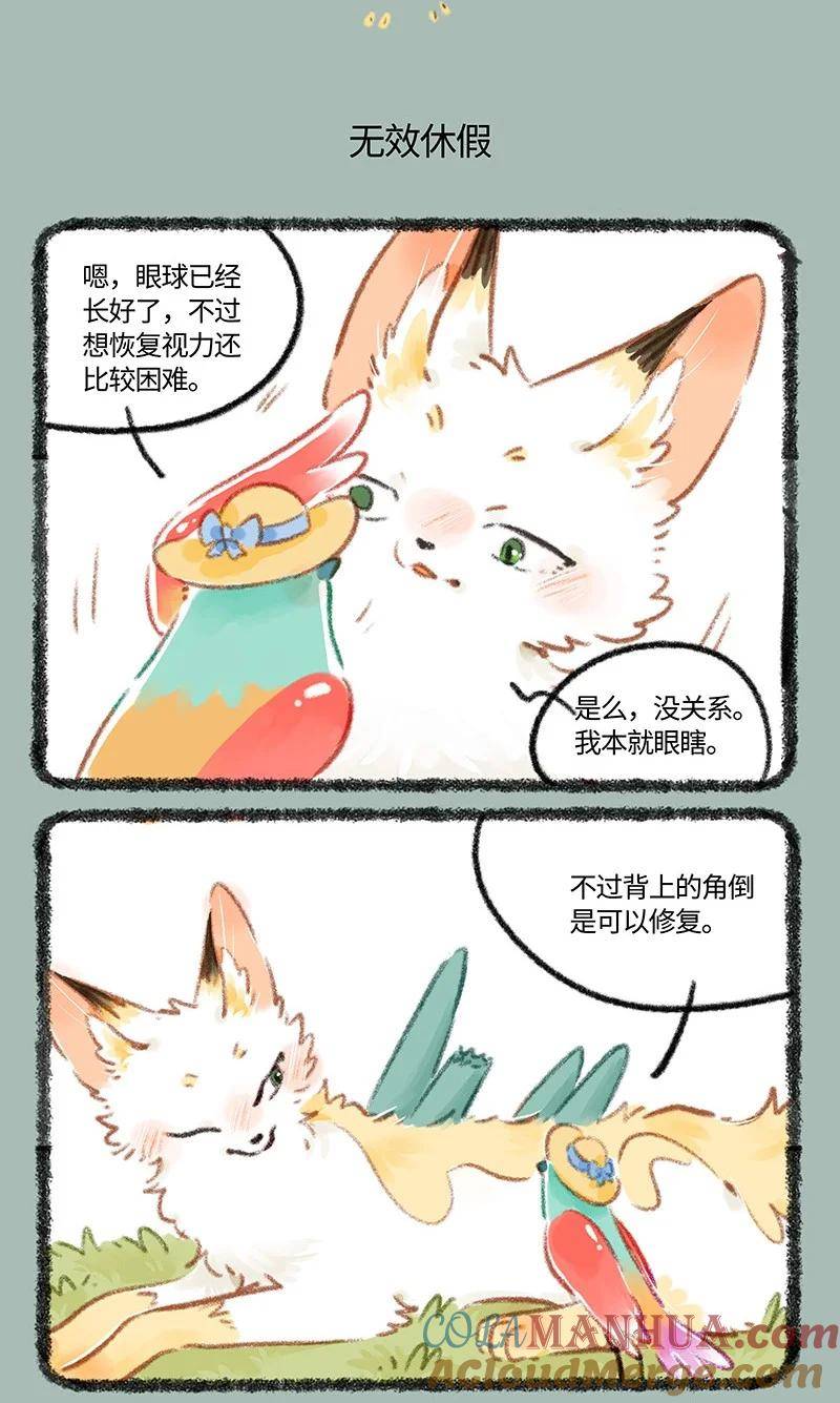806 治愈花椒3