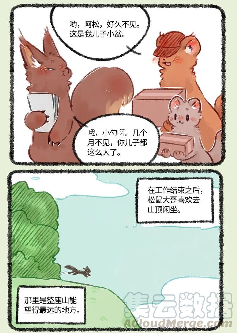 493 松鼠大哥的近况4