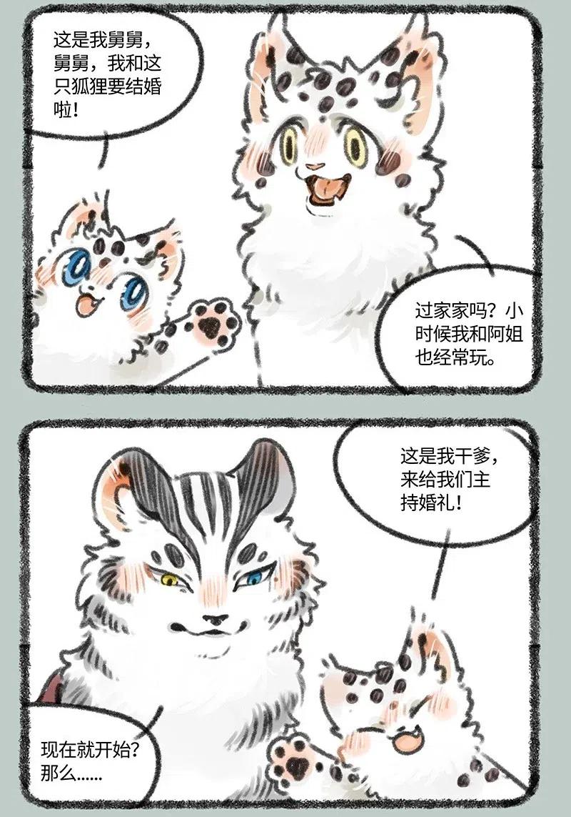 429 翔太的婚前试炼0