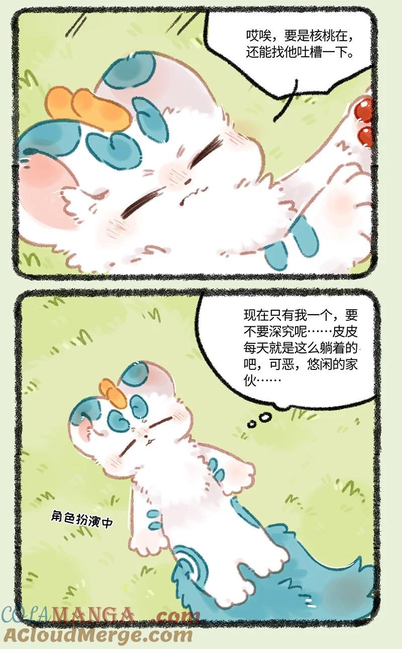969 美美皮的任务2