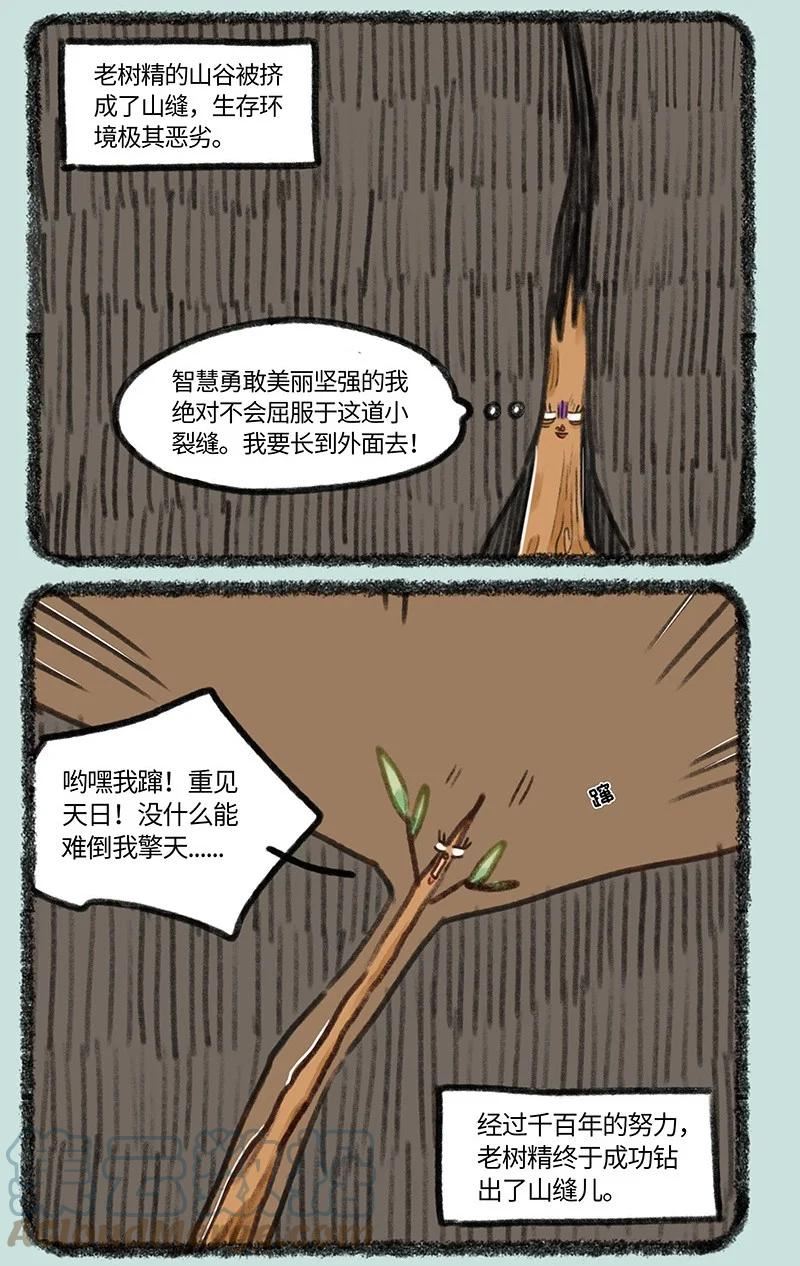 680 再遇老树精1