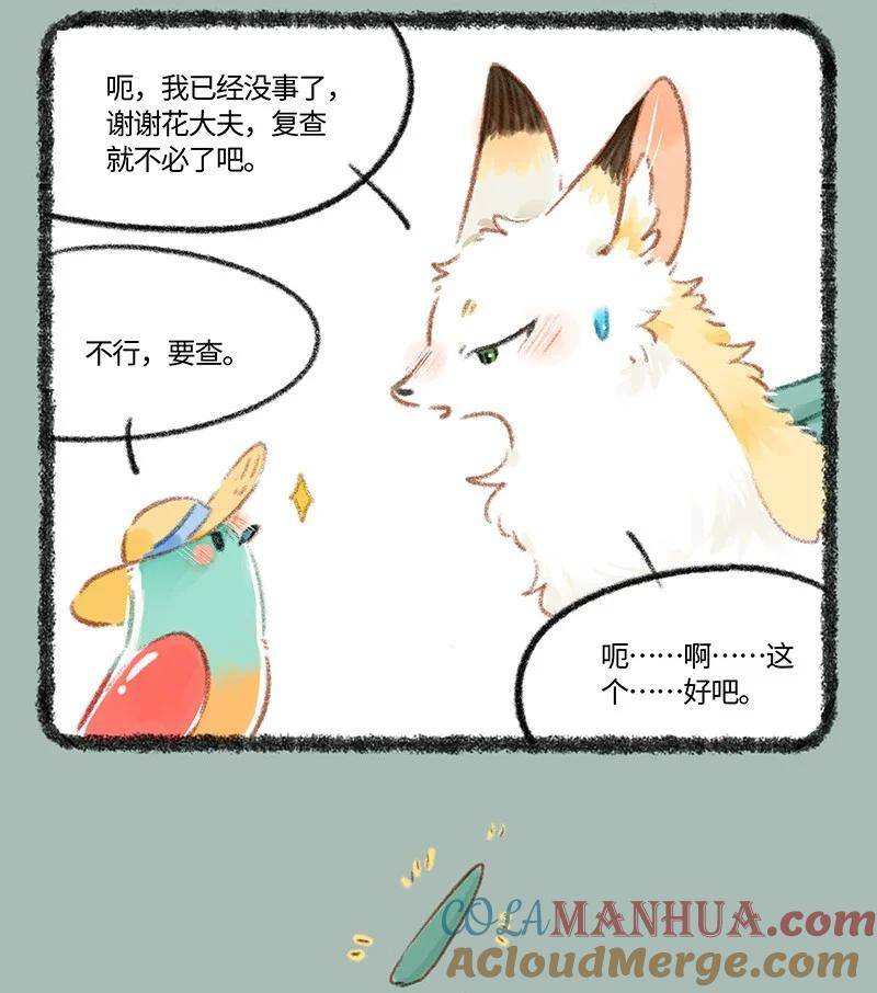 806 治愈花椒2