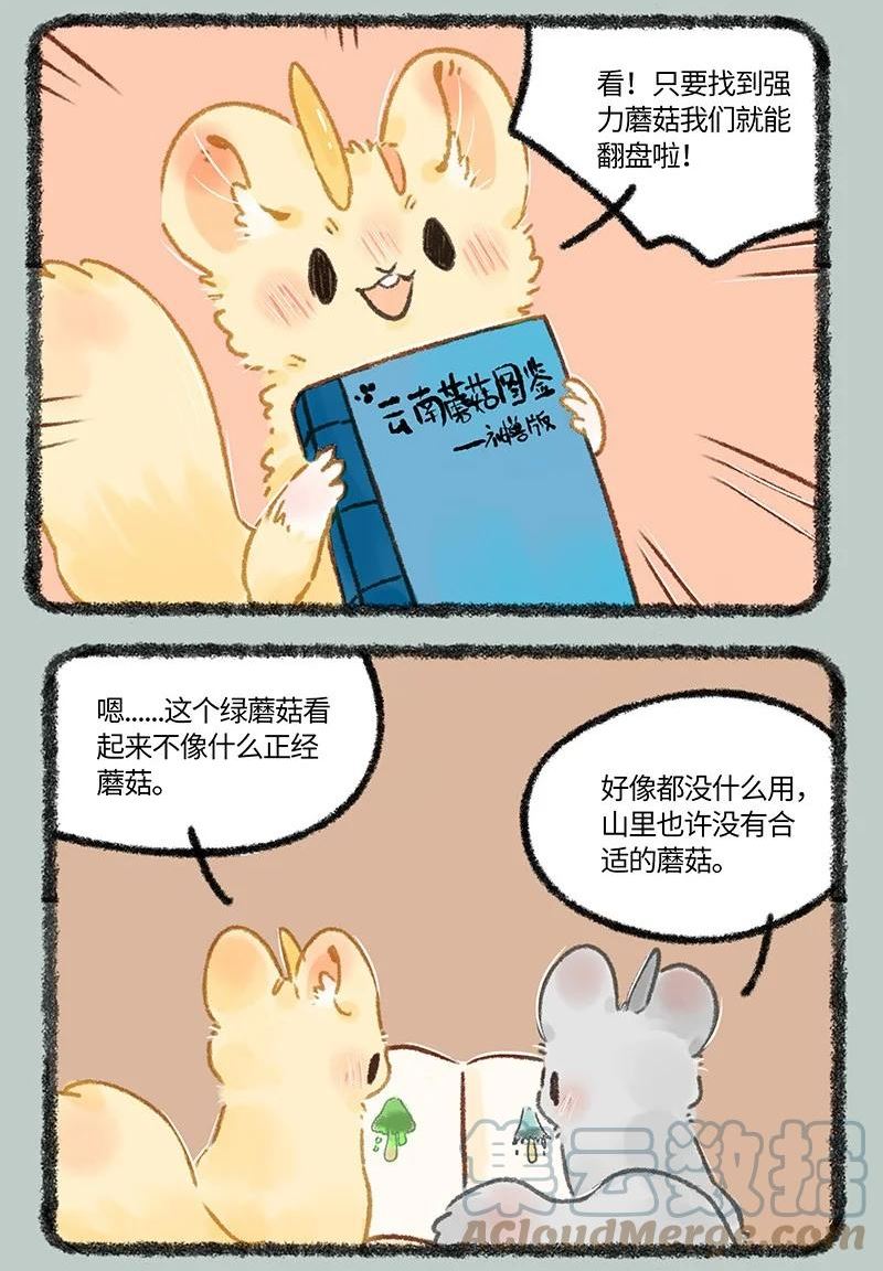 655 无敌菇1