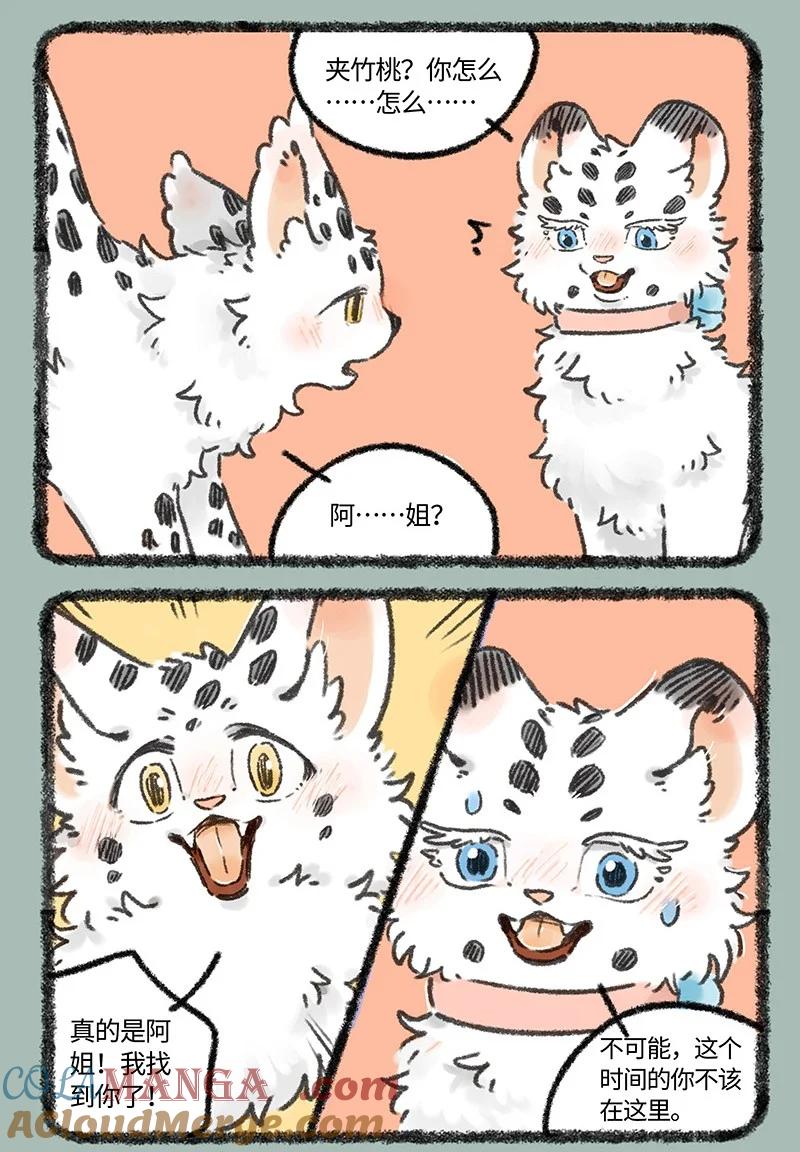 971 孟极篇之再见阿姐1