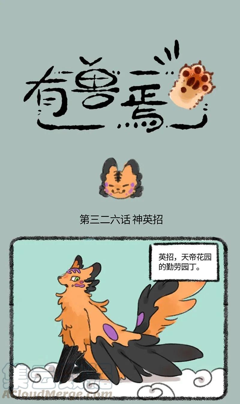 326 向前看0