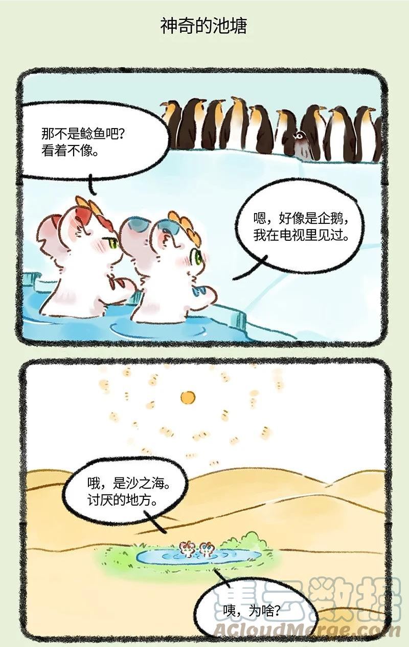 657 追捕大鲶鱼4
