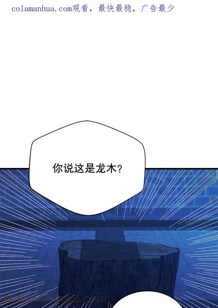 70.龙木0