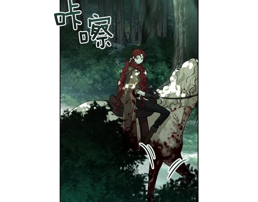 第102话 神秘白马1