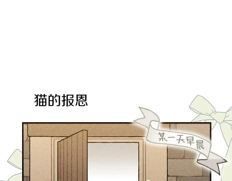 番外6 猫的报恩3