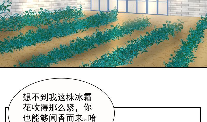 第392话 神秘附属品2