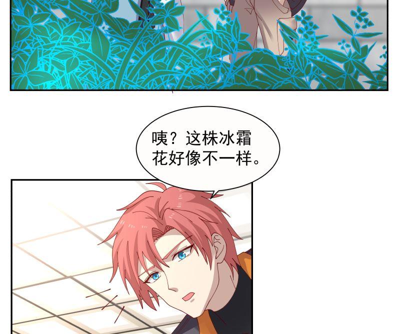 第392话 神秘附属品4