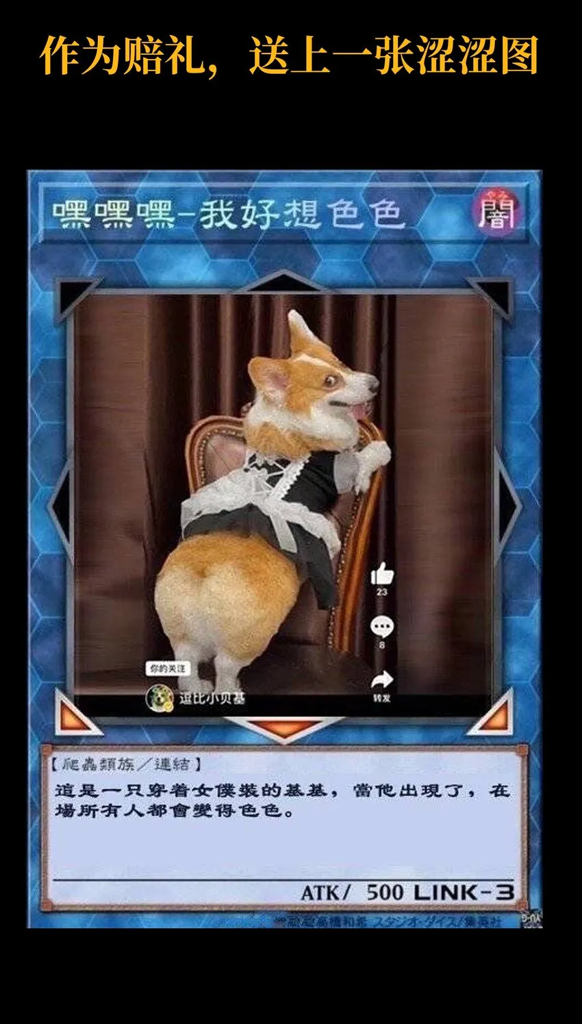 谢罪 公告2