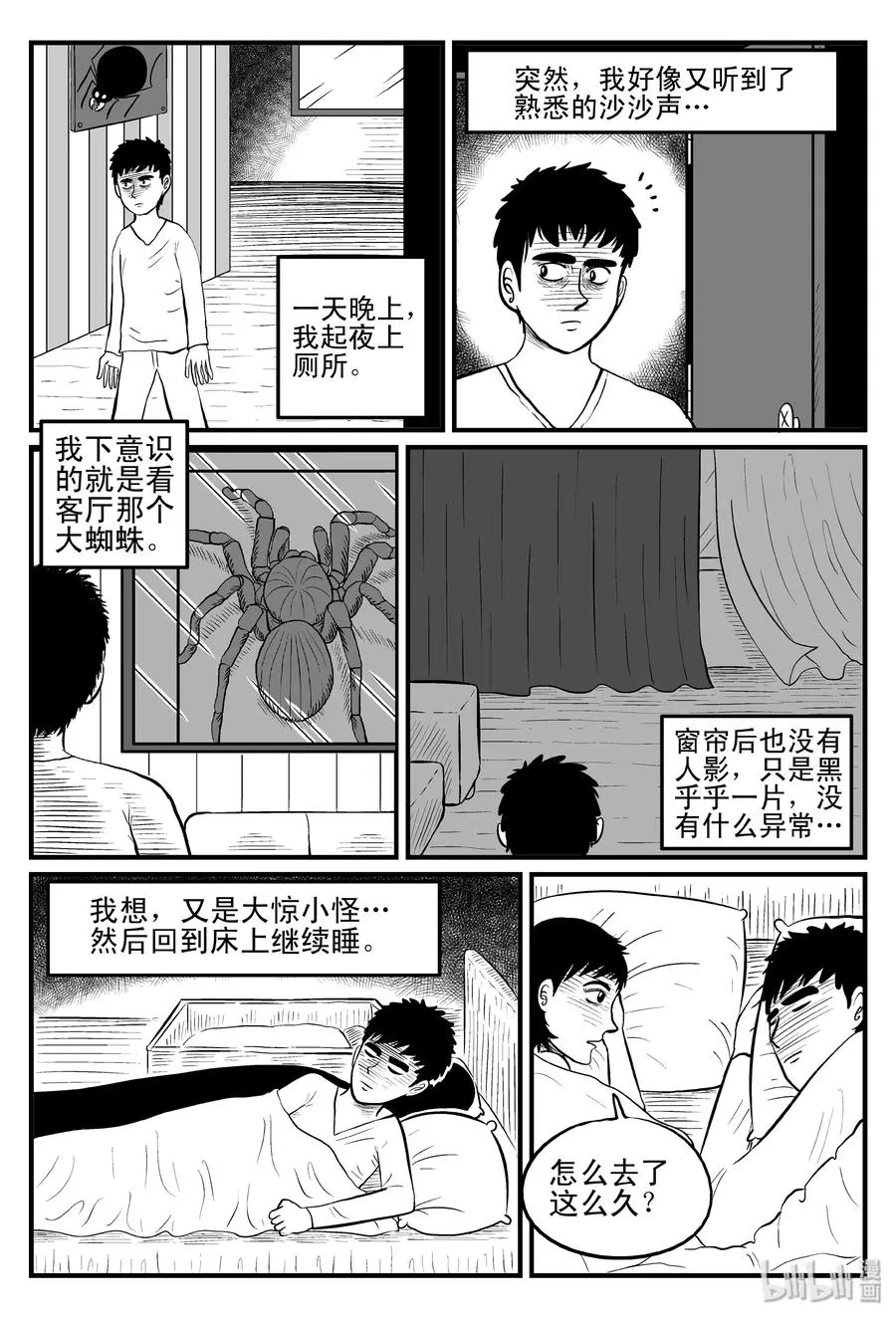 095 蜘蛛（2）2