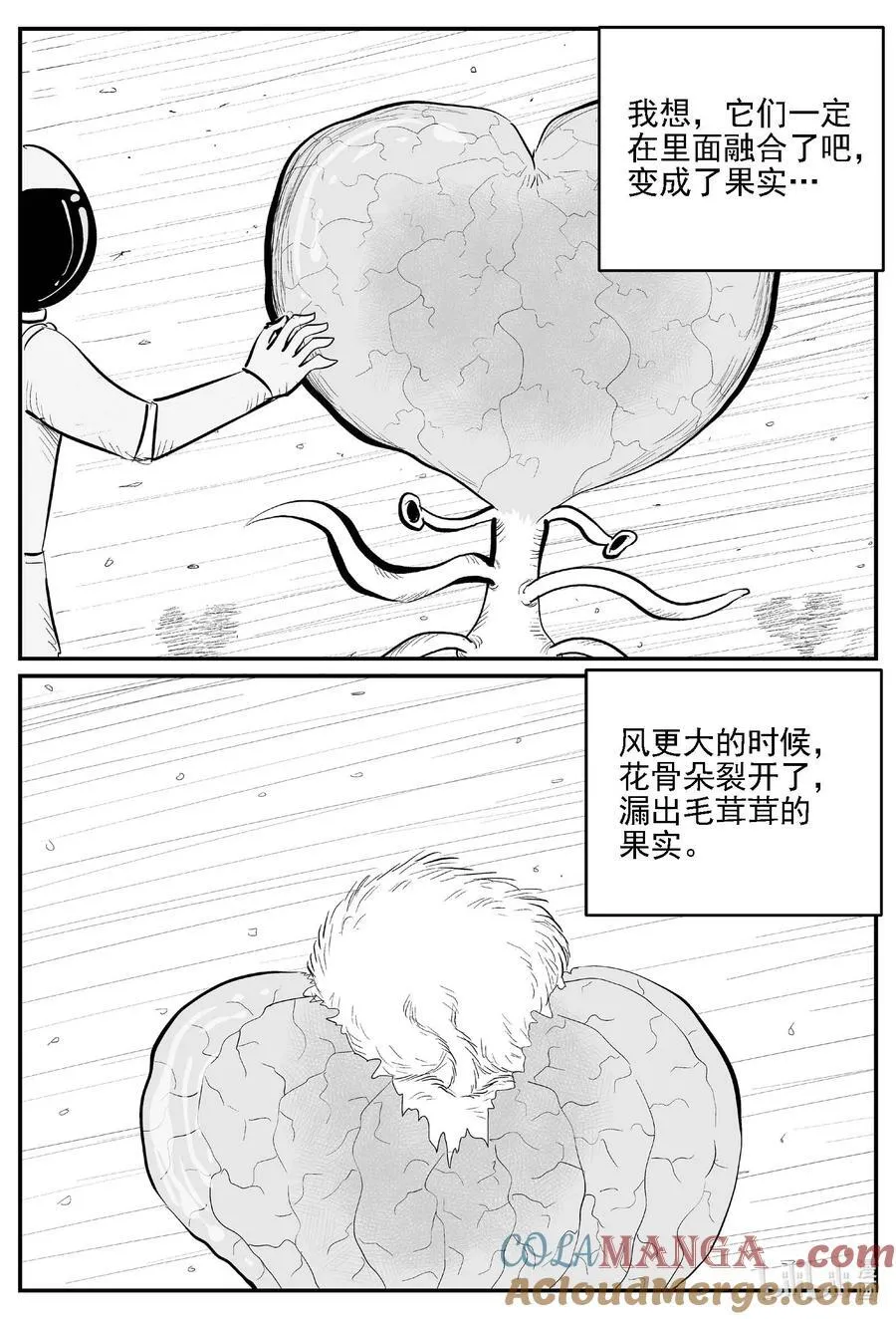 981 爱之星4