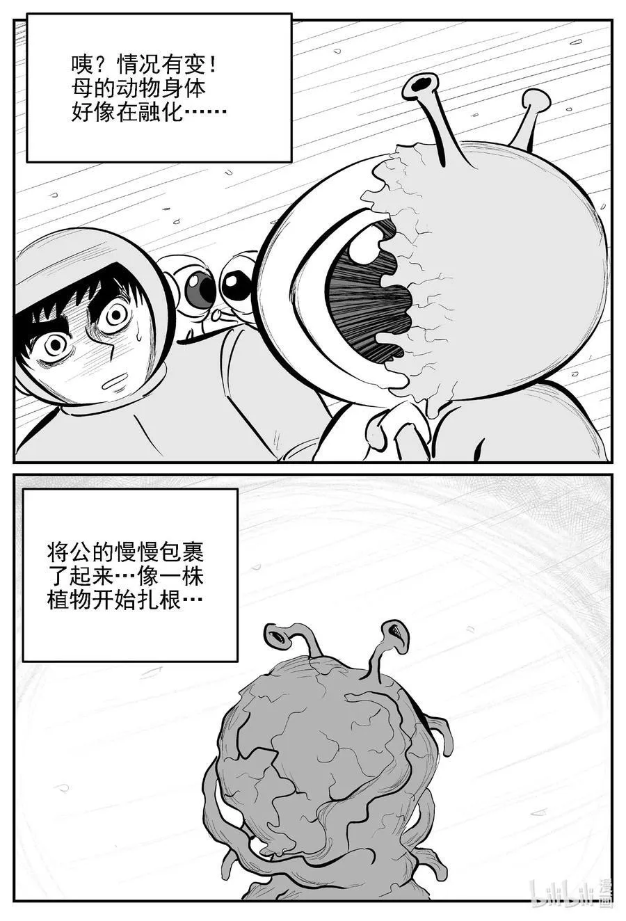 981 爱之星1