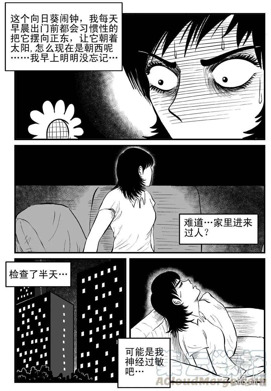 118 鹦鹉+囍3