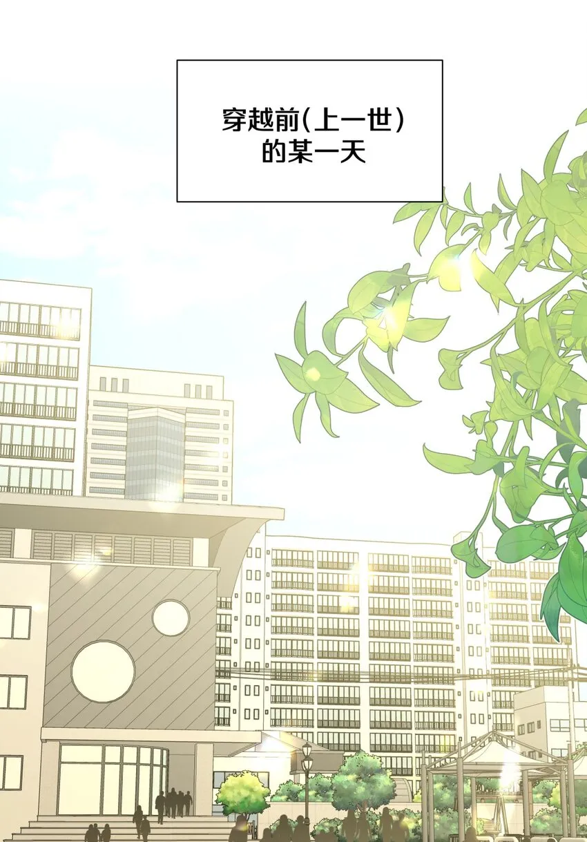 小番外 蜘蛛1
