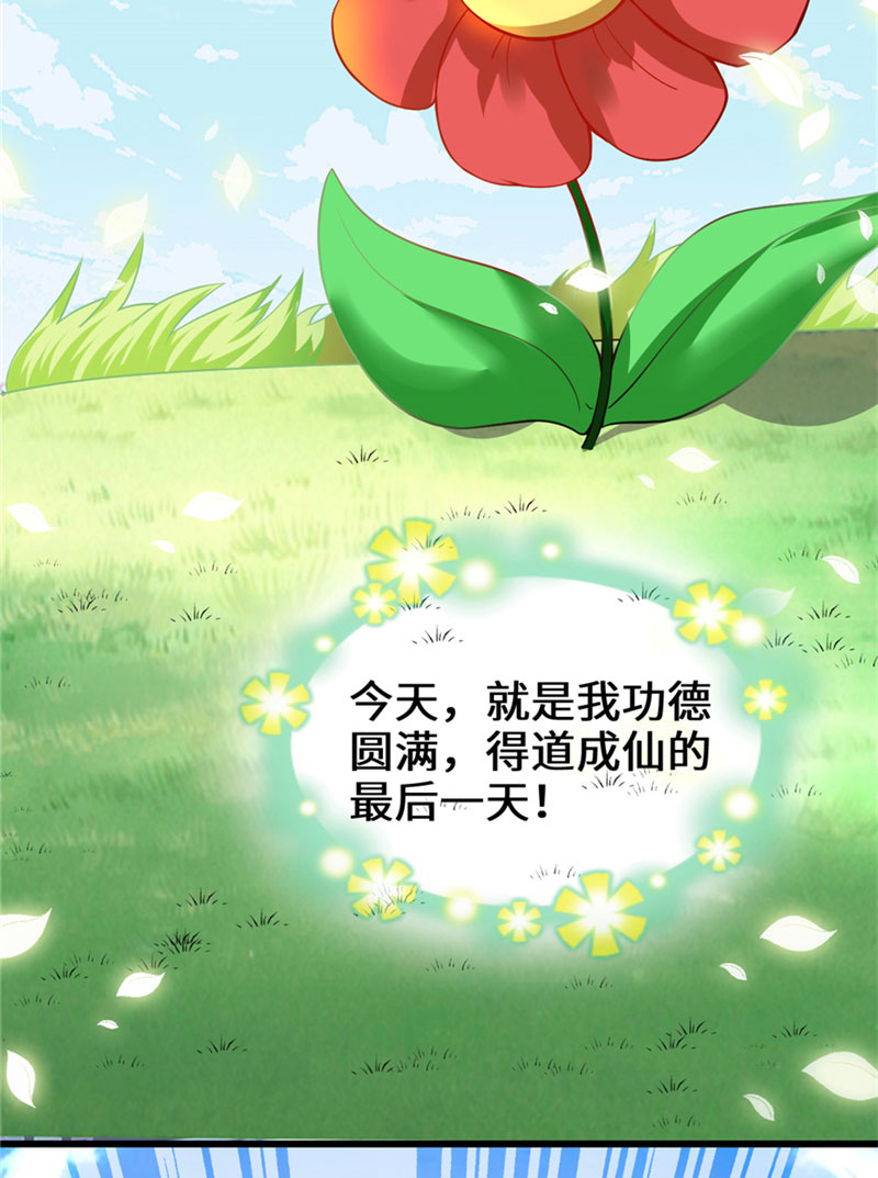 第33话 下凡！3