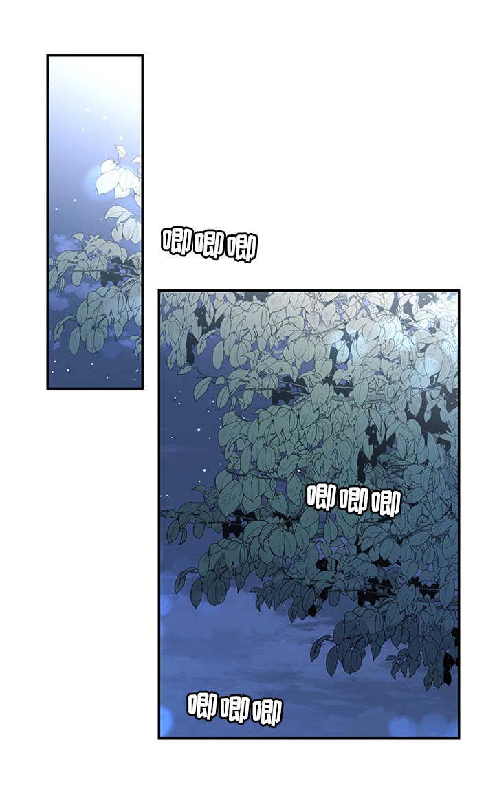 第16章：塔利亚之夜2